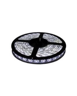 Fita de Led 5m